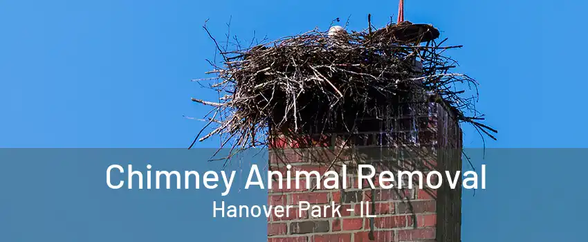 Chimney Animal Removal Hanover Park - IL