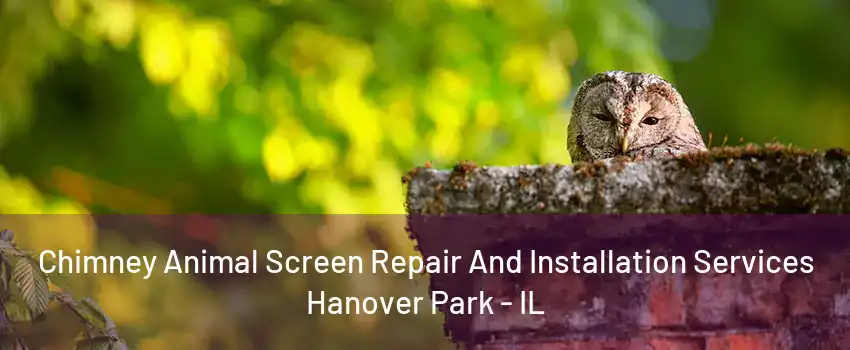 Chimney Animal Screen Repair And Installation Services Hanover Park - IL