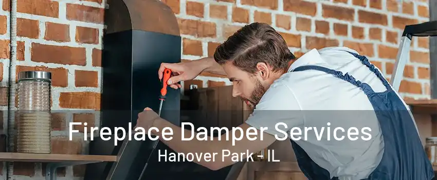 Fireplace Damper Services Hanover Park - IL