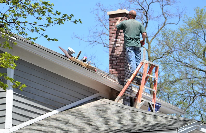 Chimney & Fireplace Inspections Services in Hanover Park, IL