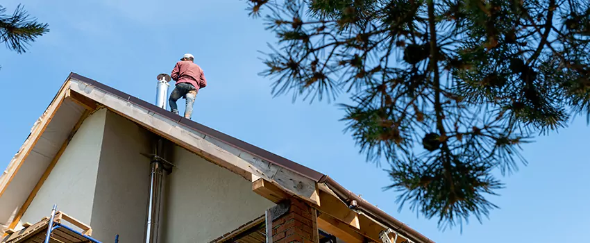 Birds Removal Contractors from Chimney in Hanover Park, IL