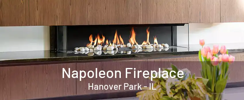 Napoleon Fireplace Hanover Park - IL