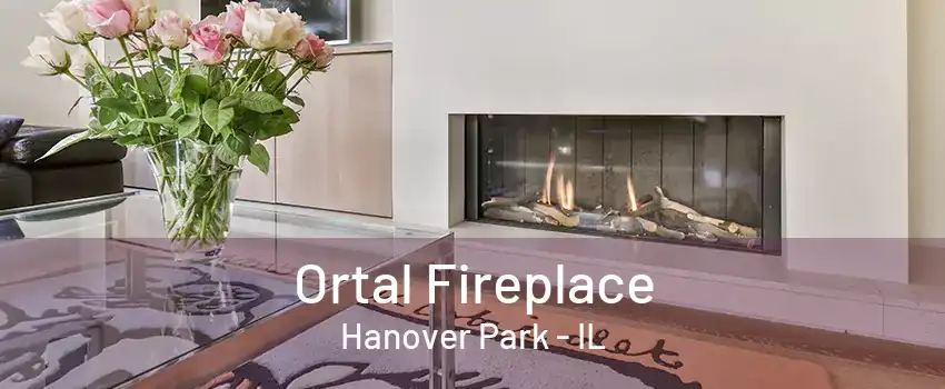 Ortal Fireplace Hanover Park - IL